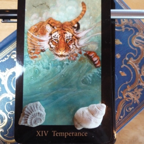What I take home: Temperance (Mary-el Tarot)